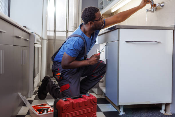 Best Residential Plumbing Services  in Dickinson, ND